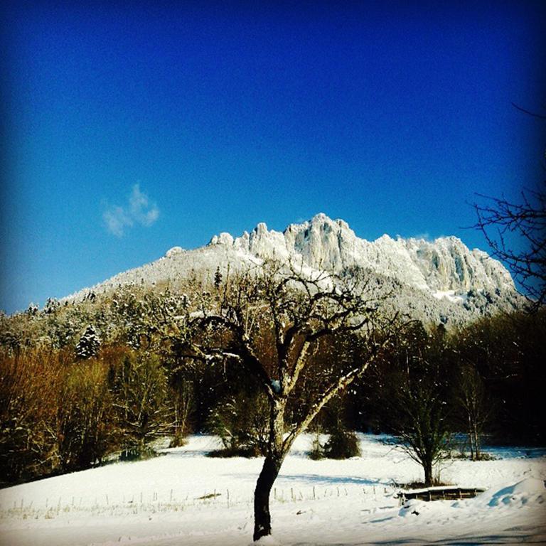 Village Vacances Les Alerions Talloires Esterno foto